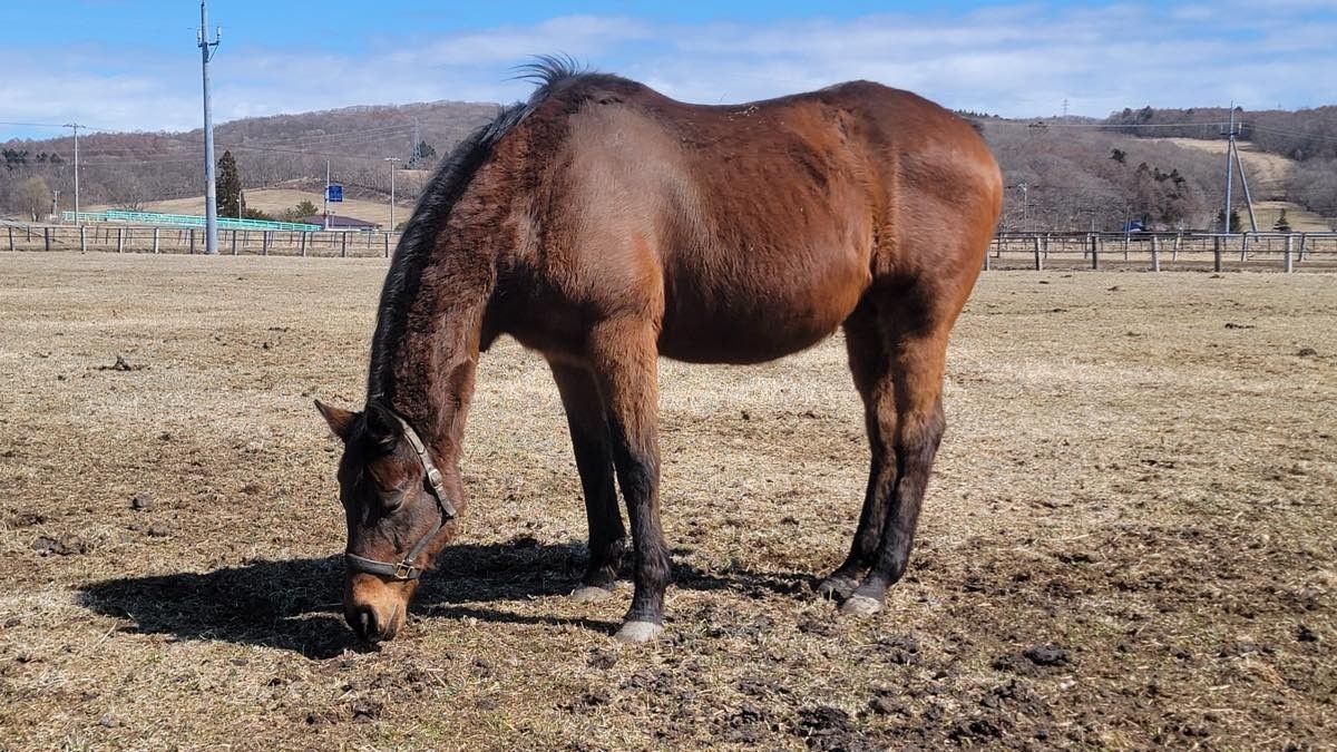 e10b9aa5b50b033fa785a83853b86e1c-1773629960.jpg e10b9aa5b50b033fa785a83853b86e1c-1773629960.jpg